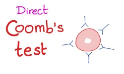 Direct Coombs Test (Direct Antiglobulin Test- DAT)